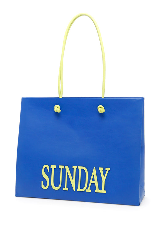 Alberta ferretti leather sunday shopping bag