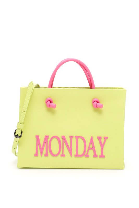 Alberta ferretti leather monday shopping bag