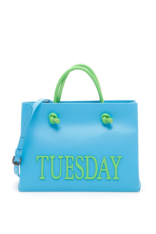 Alberta ferretti tuesday leather shopping bag